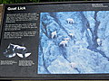 We stop at a scenic overlook and find this sign about mountain goats.  