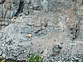 The goats are on the sandy cliffs above the Flathead River.