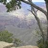 You can see the Colorado River at the bottom of the canyon.